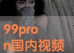 pron国产,揭秘其独特文化与社会发展历程