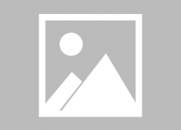 最新国产电视剧,国产剧中的青春与奋斗