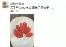 国产肉视频,视频揭秘美味背后的故事